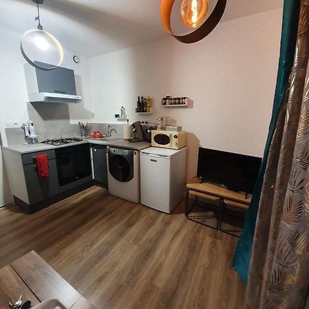 Charmant Petit F1 Apartment Tain-lʼHermitage Exterior foto